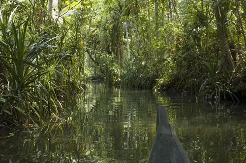Do úzkych kanálov sa dá dostať iba na menších loďkách... (Backwaters)