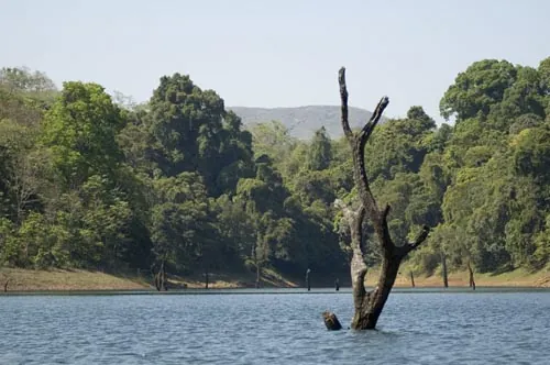 Priehrada (Prírodná rezervácia Periyar)
