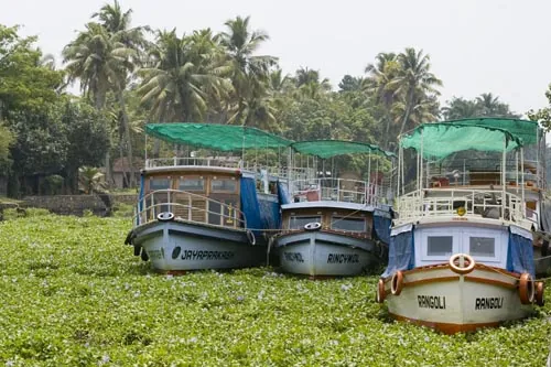 Prístav  (Kottayam)