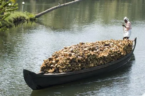 Náklad kokosových škrupín (Backwaters)