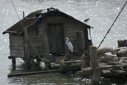 Čakanie na rybu (Backwaters)