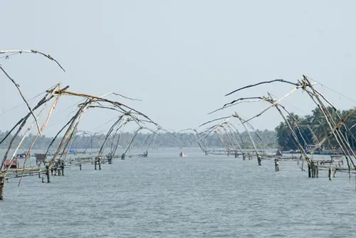 Čínske siete  (Backwaters)