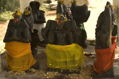 Sošky. (Mamallapuram)