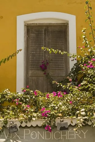 Okno. (Pondicherry)