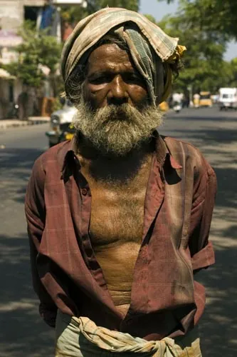 Ujko z ulice . (Pondicherry)