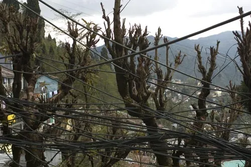 Rozvody vody... (Darjeeling)