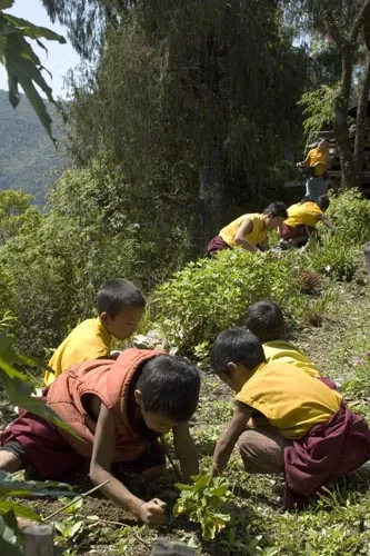 Práca na záhradke.  (Tashiding, Sikkim)