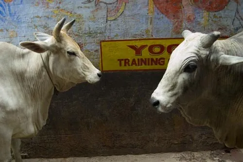 Tréning na koridu? (Varanasi)